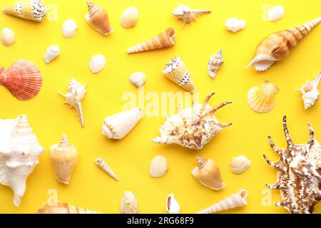 Different seashells on yellow background Stock Photo