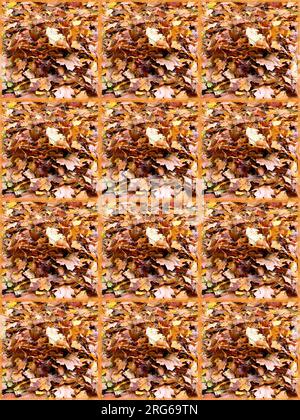 Autumn leaves background design. Brown, orange, yellow, golden. Design features twelve sections with with borders. Stock Photo