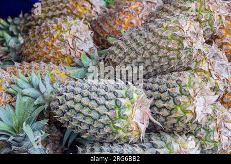 Pineapple,  Ananas comosus var. comosus, for sale in a market, Sidemen, Bali Stock Photo