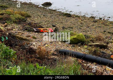 Footprints of Man: Domestic rubbish laying in grass, moss and seaweed, on the shore of a lake. Stock Photo