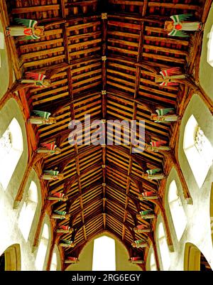South Creake church, medieval hammer beam roof, 15th century ...