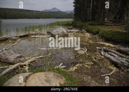 Mountain and lake view from Dog Lake Trail at Yosemite National Park in 2015. Stock Photo