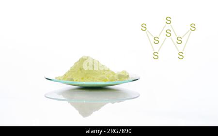 Sulfur Powder in Chemical Watch Glass with molecular structure. Stock Photo