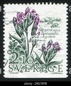 SWEDEN - CIRCA 1987: stamp printed by Sweden, shows Field Gentian, circa 1987 Stock Photo