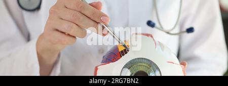 Doctor ophthalmologist holding human eye anatomical model and pointing by pen. Stock Photo