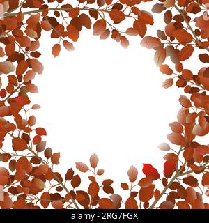 Tree branches with autumn leaves around edge of picture. Frame from plants. object isolated on white background. Vector Stock Vector