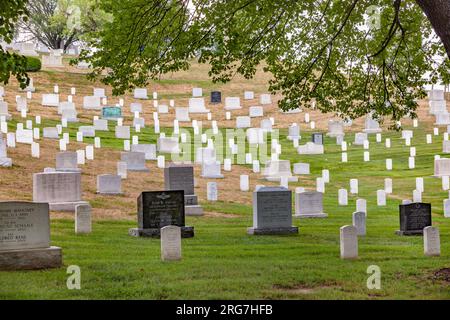 WASHINGTON, USA - JULY 15, 2010:  Gravestones on Arlington National Cemetery  in Washington DC, USA. Headstones mark soldier graves who died in every Stock Photo