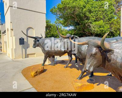 Waco, TX, USA - July 24, 2023: Statue of bulls in Waco Texas Stock Photo