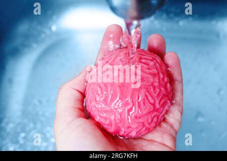 Mental purification: Human brain model set in soapy water, accompanied ...