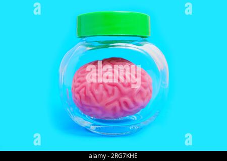 Close-up of a toy human brain preserved in a glass jar. Futuristic concept related to advanced technology, consciousness transfer or artificial intell Stock Photo