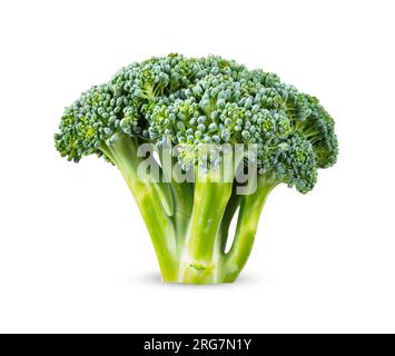 Broccoli isolated on white background. broccoli clipping path. Stock Photo