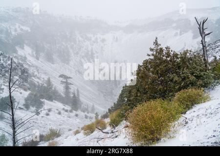 Ice Cave and Bandera Volcano in New Mexico Stock Photo