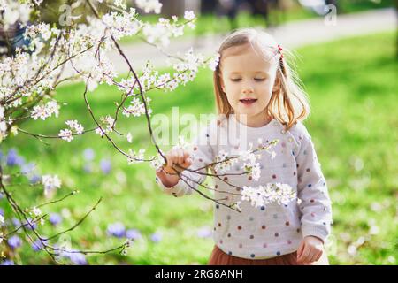 Adorable little girl enjoying nice and sunny spring day near apple tree in full bloom. Outdoor spring actvities for children Stock Photo