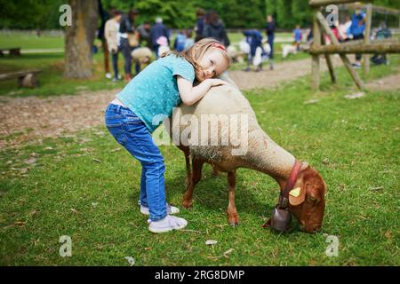 Adorable little girl playing with sheep at farm. Child familiarizing herself with animals. Farming and gardening for small children. Outdoor summer ac Stock Photo