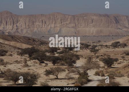 Marl stone formations. Eroded cliffs made of marl. Marl is a calcium carbonate-rich, mudstone formed from sedimentary deposits. Photographed in Israel Stock Photo