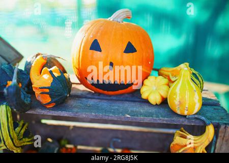 Colorful Jack-o'-lantern pumpkin on farmer market or shop. Halloween and autumn decorations concept Stock Photo