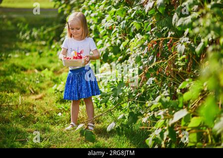 Adorable girl in straw hat picking fresh organic raspberries on farm. Delicious healthy snack for small children. Outdoor summer activities for little Stock Photo