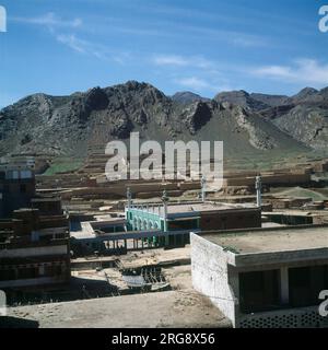 Rus talabalari qizgin orgiya otkazdilar