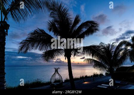 Palm trees silhouetted against an Antigua seaside sunset taken at Tamarind Hills Stock Photo