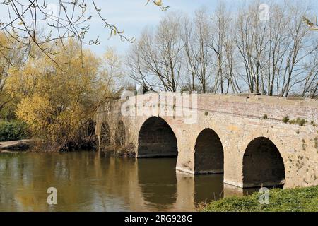 Old Bridge over the River Avon at Pershore, Worcestershire Stock Photo