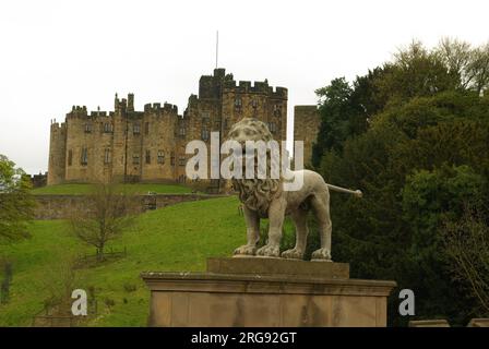 The Percy Lion on the Lion Bridge, in front of Alnwick Castle, Northumberland.  The lion with its distinctive straight tail was created in 1773.  The building of the castle itself began in the late 11th century. Stock Photo