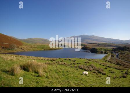 View of Llyn y Dywarchen (reservoir) near Rhyd-Ddu in Gwynedd, North Wales, with a view towards Snowdon from the west. Stock Photo