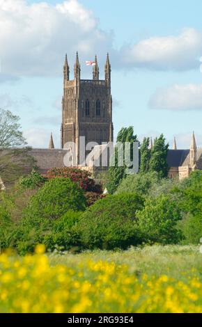 View of Worcester Cathedral, Worcestershire, near the River Severn.  Its full name is The Cathedral Church of Christ and the Blessed Mary the Virgin of Worcester.  Built between 1084 and 1504, it represents every style of English architecture from Norman to Perpendicular Gothic. Stock Photo