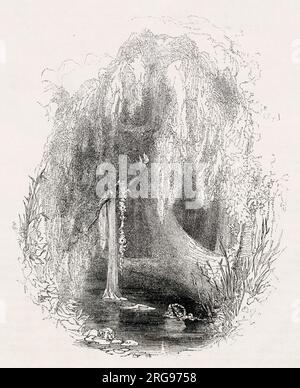 Illustration by Kenny Meadows to Hamlet, Prince of Denmark, by William Shakespeare. The death of Ophelia by drowning. Stock Photo