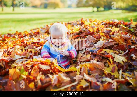 Adorable little girl sitting in large heap of colorful autumn leaves on a fall day in park Stock Photo