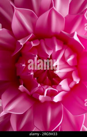 Pink petals of artificial flower close-up. Flower bud in soft pastel colors. Background. Stock Photo
