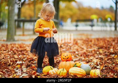 Adorable toddler girl in orange t-shirt and black tutu playing with colorful pumpkins and orange bucket lying on the ground in orange autumn fallen le Stock Photo