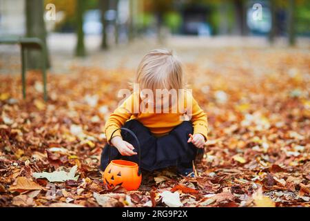 Adorable toddler girl in orange t-shirt and black tutu playing with colorful pumpkins and orange bucket lying on the ground in orange autumn fallen le Stock Photo