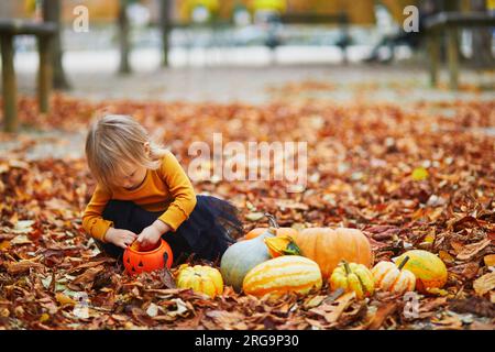 Adorable toddler girl in orange t-shirt and black tutu playing with colorful pumpkins and orange bucket lying on the ground in orange autumn fallen le Stock Photo