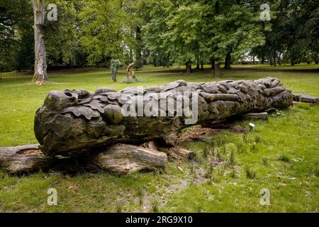 the Stammheim castle park in the district of Stammheim, public green area in which modern art is exhibited, Cologne, Germany. wooden sculpture 'Tote E Stock Photo