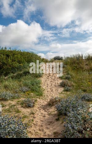 A pathway up a sand dune, at Crosby on the Merseyside Coast Stock Photo