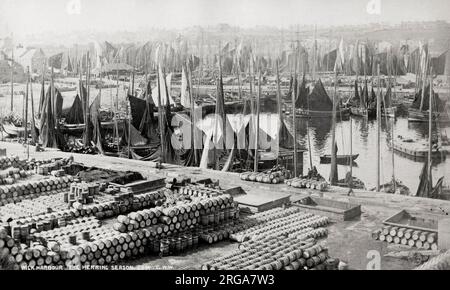 Vintage 19th century photograph: Fishing boats in harbour and barrrels of  Herring fish, Wick, north coast of  Scotland Stock Photo