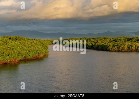 Mangroves and lush vegetation with mountains behind, Port Denarau, near Nadi, Viti Levu, Fiji Islands, South Pacific Stock Photo