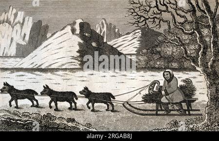 A Kamtschadale (or Kamchadal, native man of Kamchatka, Russia) travelling in winter with a sleigh drawn by a team of dogs. Stock Photo