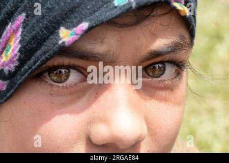 August 8, 2023, Kulgam, Jammu and Kashmir, India: A Kashmiri girl adorned in traditional attire take part in the inaugural 'Veshaw Literary Festival' in Kulgam, Southern Kashmir. Celebrating the region's rich heritage of ancient temples, Sufi saints, and artistic prowess, the event highlights the captivating world of Kashmiri culture and the narratives of skilled artisans. (Credit Image: © Adil Abbas/ZUMA Press Wire) EDITORIAL USAGE ONLY! Not for Commercial USAGE! Stock Photo