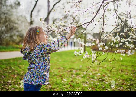 Adorable little girl enjoying nice and sunny spring day near apple tree in full bloom. Outdoor spring actvities for children Stock Photo