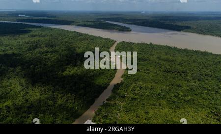 Belem, Brazil. 07th Aug, 2023. View of the Guama River and the Amazon rainforest. For the first time in 14 years, the heads of state and government of the South American Amazon countries have come together again for a joint summit. Credit: Filipe Bispo Vale/dpa/Alamy Live News Stock Photo