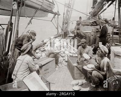 Vintage late 19th century photograph: Thursday Island, Torres Straits, pearl fishing, diving from a boat. c.1900's. Stock Photo