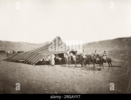 Vintage 19th century photograph - Bedouin camp in the desrt, North Africa, Algeria. Stock Photo