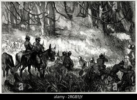 A Skirmish in the Forest, Third Anglo-Ashanti War or First Ashanti Expedition (1873-1874, to rescue European missionary captives held in Kumasi), West Africa (Ghana). Stock Photo