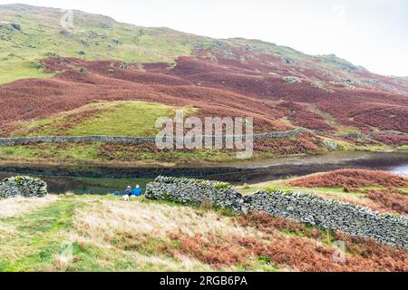 Alcock Tarn, near Grasmere, Lake District National Park, Cumbria, England Stock Photo