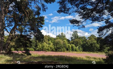 Haddo House and country park, Aberdeenshire, Scotland Stock Photo