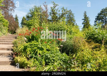 Zurich, Switzerland, July 14, 2023 Different plants at the botanical garden Stock Photo