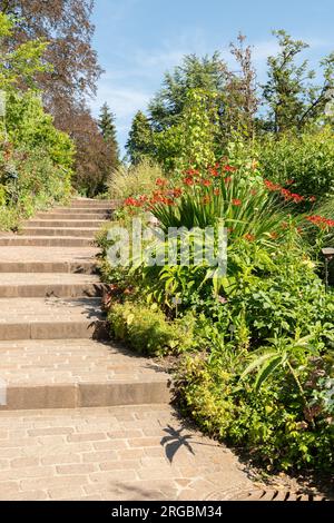 Zurich, Switzerland, July 14, 2023 Different plants at the botanical garden Stock Photo