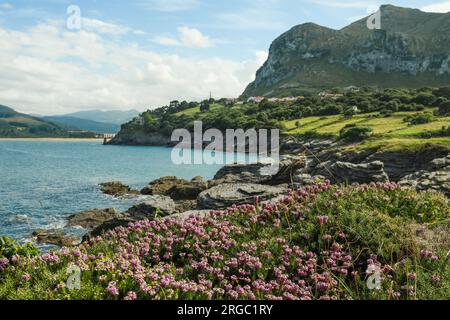 Panoramic view of the Oriñón bay with the mountains in the background Stock Photo