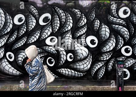 Pedestrian walks past a piece of street art on boards by the Union Canal in Fountainbridge, Edinburgh, Scotland, UK. Stock Photo